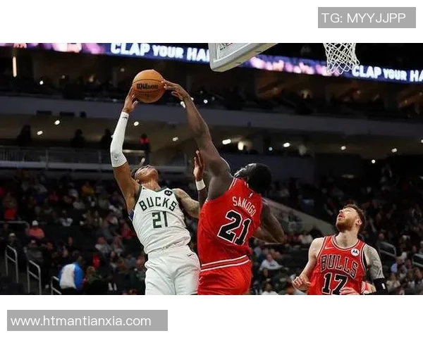 公牛队签下新秀球员，备战下赛季